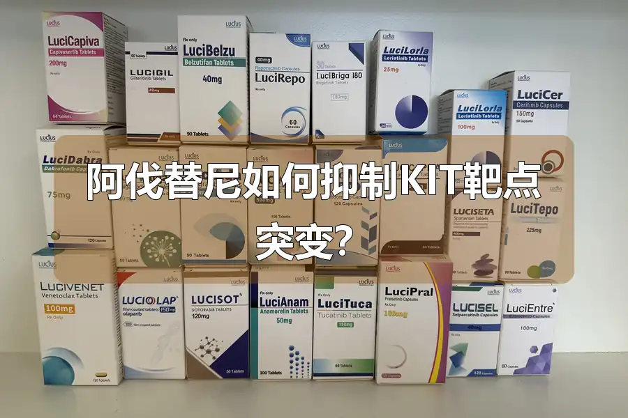 阿伐替尼如何抑制KIT靶点突变?